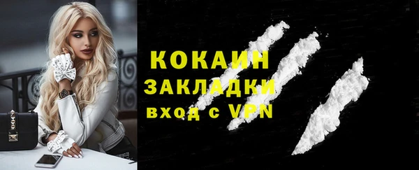 молекула духа Навашино