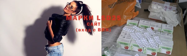 стафф Медвежьегорск