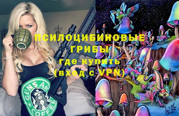 молекула духа Навашино